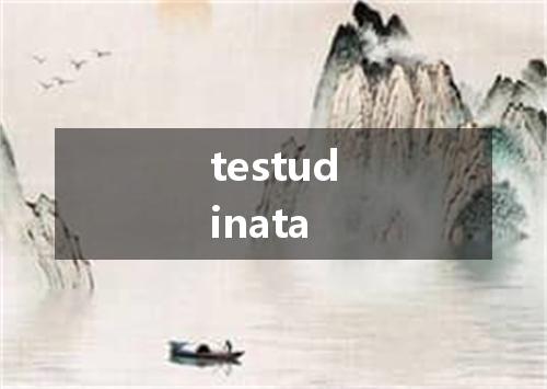 testudinata是什么意思