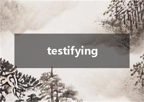 testifying是什么意思