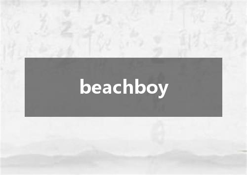 beachboy是什么意思