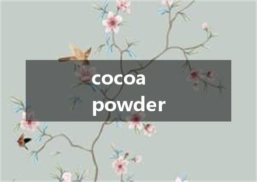 cocoa powder是什么意思