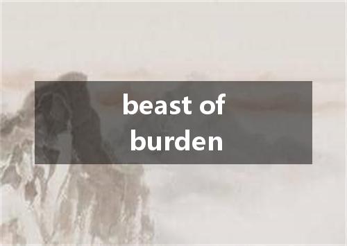 beast of burden是什么意思