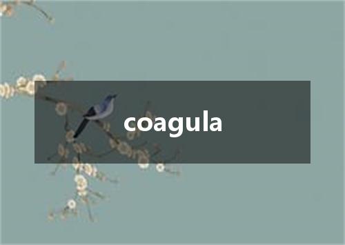 coagula是什么意思