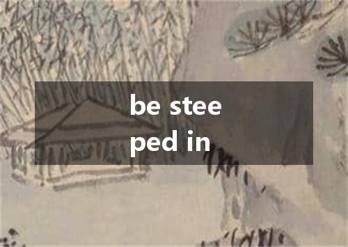 be steeped in是什么意思