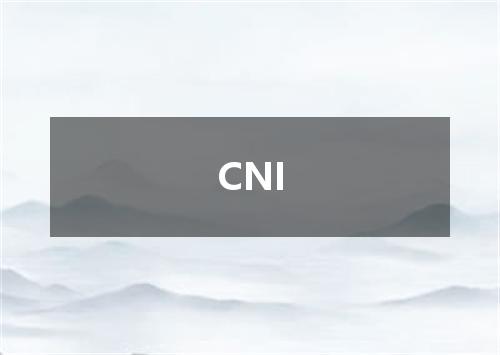 CNI是什么意思