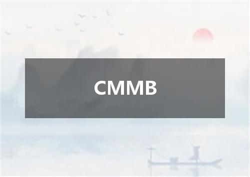 CMMB是什么意思