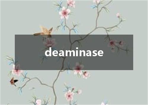 deaminase是什么意思