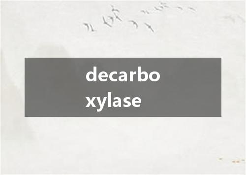 decarboxylase是什么意思