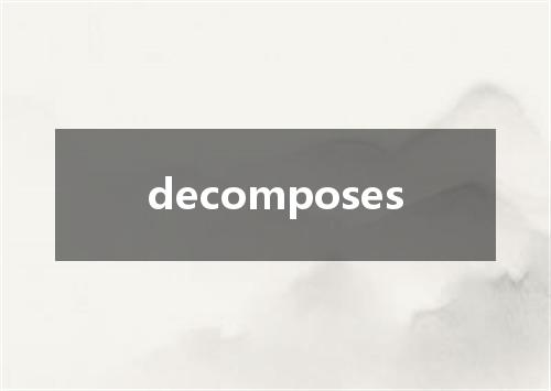 decomposes是什么意思