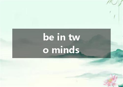 be in two minds是什么意思