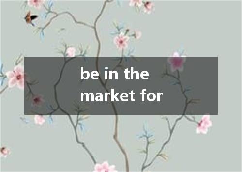 be in the market for是什么意思