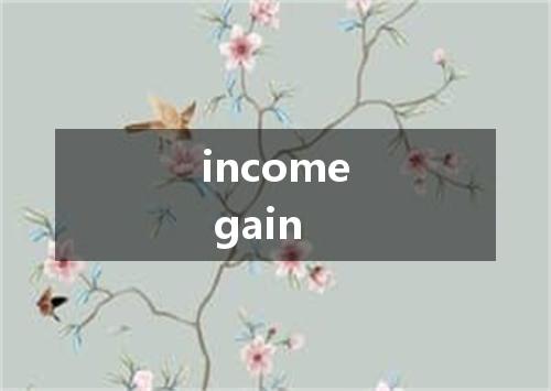 income gain是什么意思