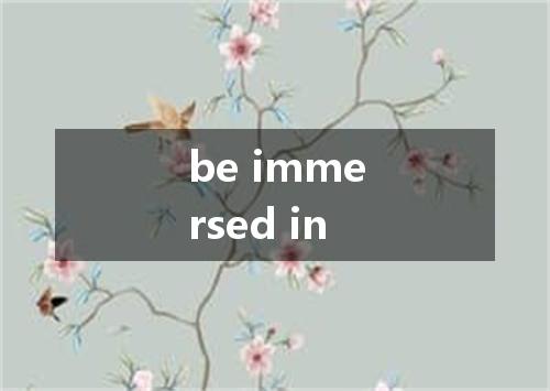 be immersed in是什么意思