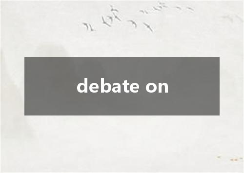 debate on是什么意思