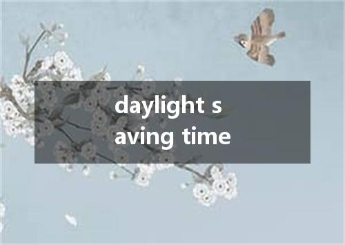 daylight saving time是什么意思