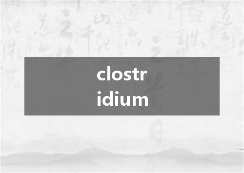 clostridium是什么意思