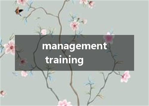 management training是什么意思