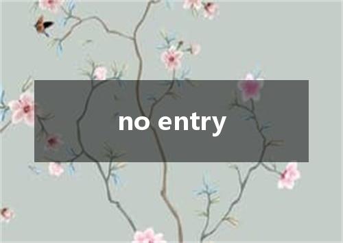 no entry是什么意思