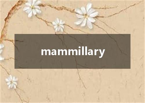 mammillary是什么意思