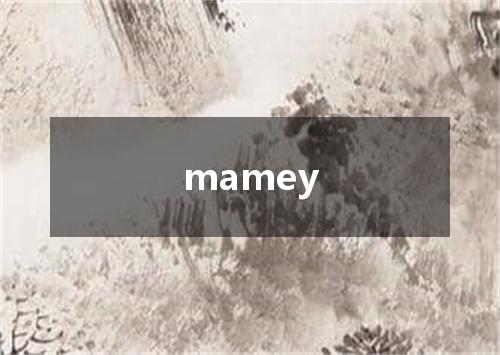 mamey是什么意思