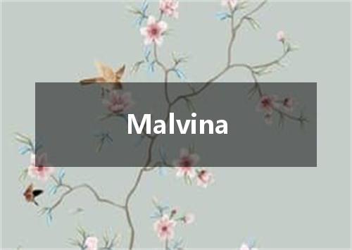 Malvina是什么意思