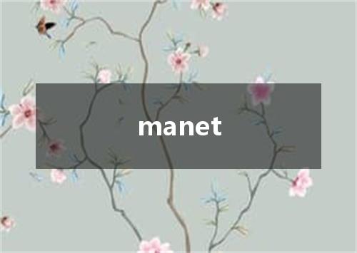 manet是什么意思