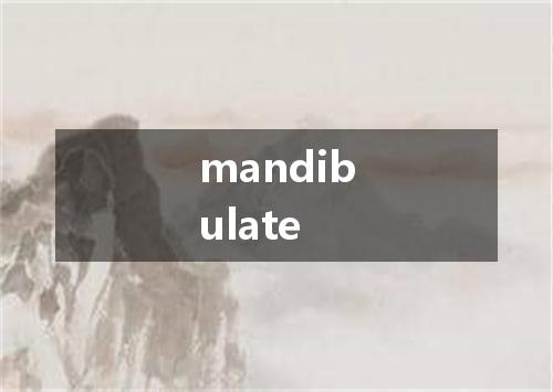 mandibulate是什么意思