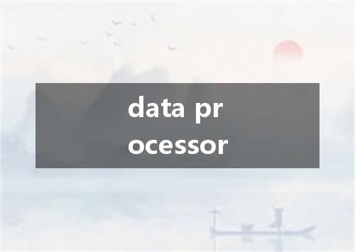 data processor是什么意思