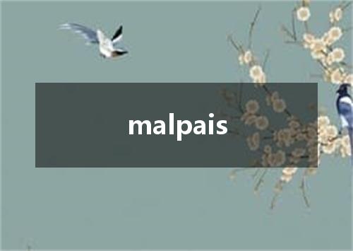 malpais是什么意思