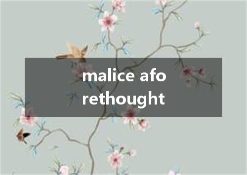 malice aforethought是什么意思