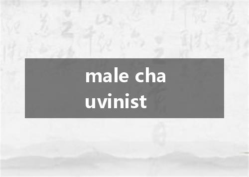 male chauvinist是什么意思