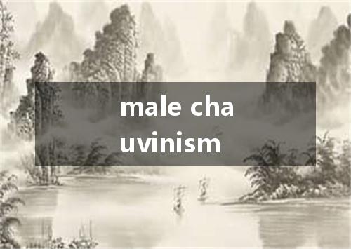 male chauvinism是什么意思
