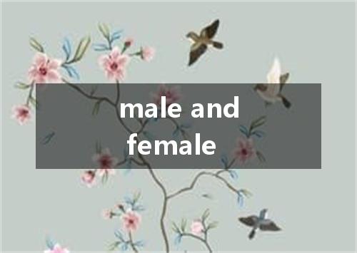 male and female是什么意思