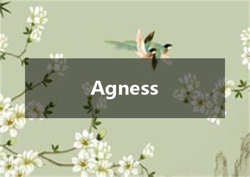 Agness是什么意思