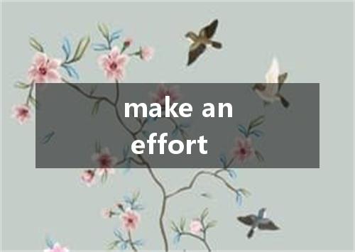 make an effort是什么意思