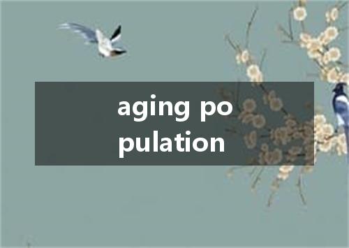 aging population是什么意思