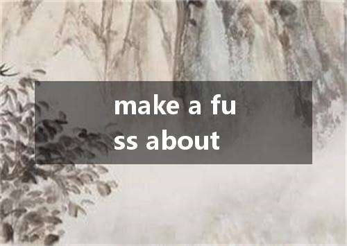 make a fuss about是什么意思