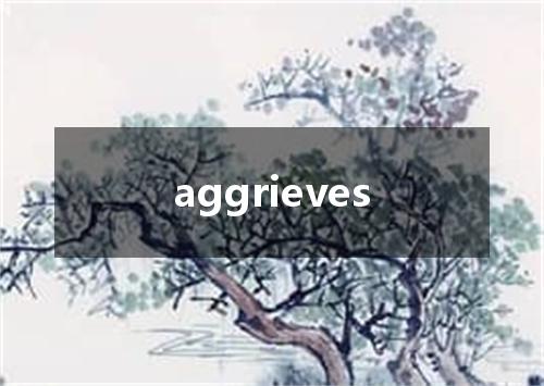 aggrieves是什么意思