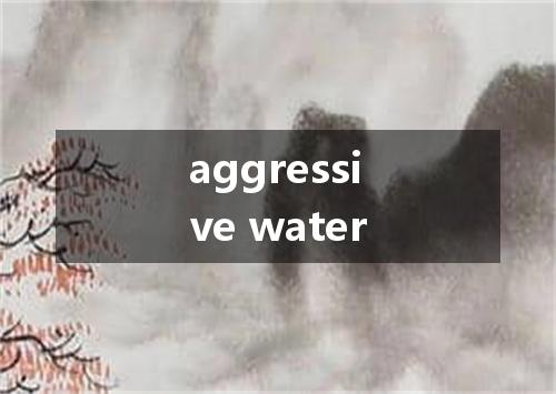 aggressive water是什么意思