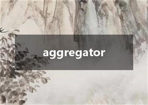 aggregator是什么意思