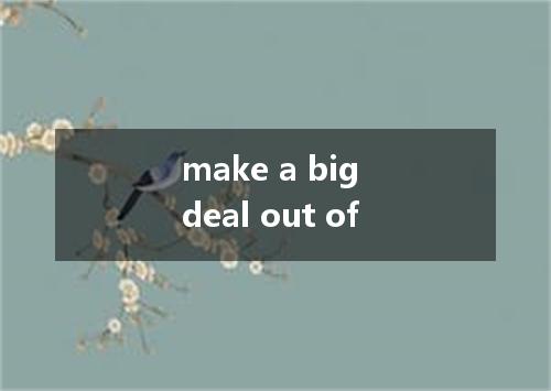 make a big deal out of是什么意思