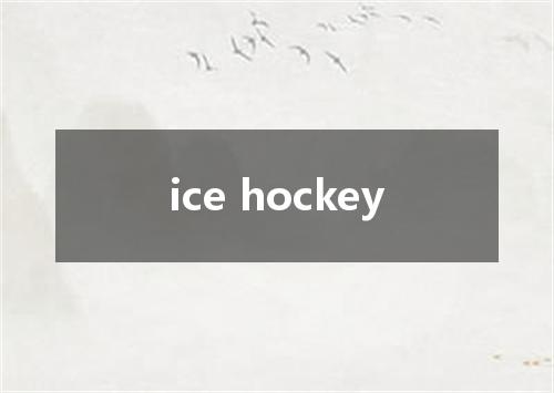 ice hockey是什么意思