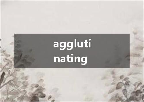 agglutinating是什么意思
