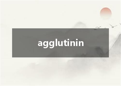 agglutinin是什么意思