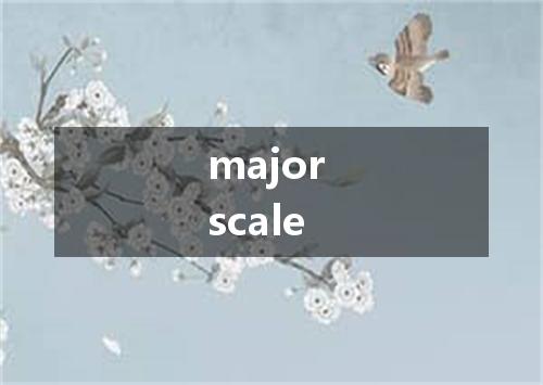 major scale是什么意思