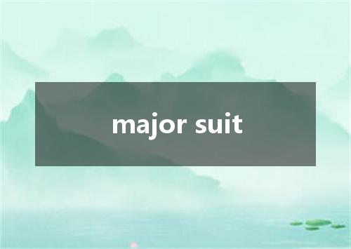 major suit是什么意思