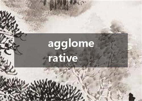 agglomerative是什么意思