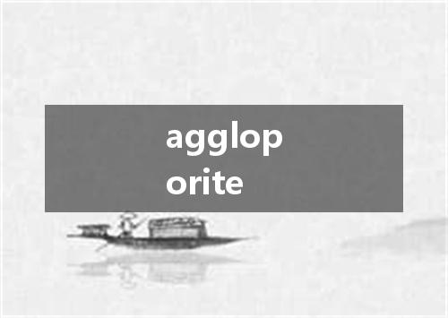 aggloporite是什么意思