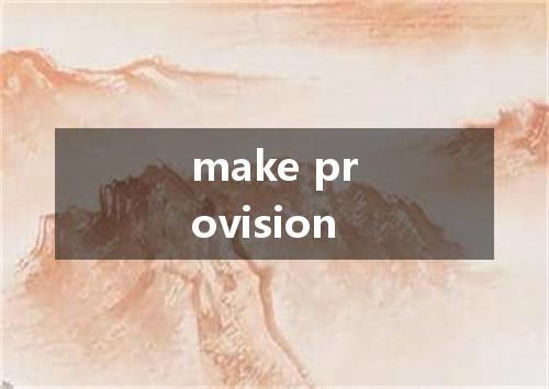 make provision是什么意思