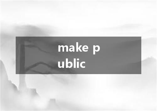 make public是什么意思