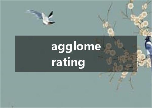 agglomerating是什么意思
